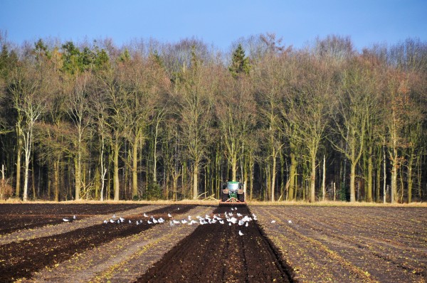 Afbeelding invoegen